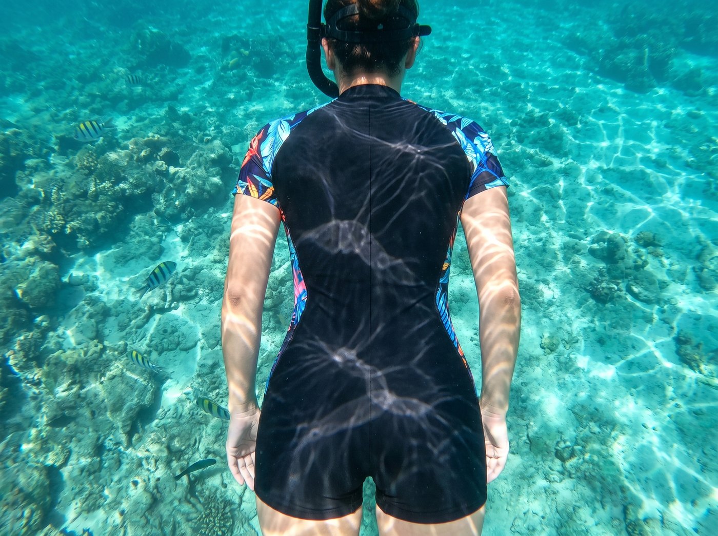 An hour face down over the reef. Your back is the part that burns, and it is the part that is covered.