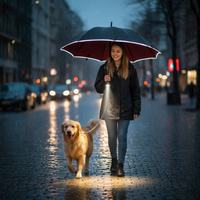 Windproof Umbrella - Automatic Open & Close - LED Light in the Handle