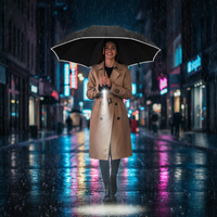 Windproof Umbrella - Automatic Open & Close - LED Light in the Handle
