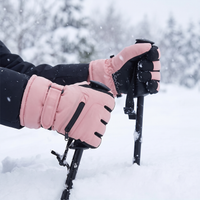 Ski Gloves - Waterproof - Touchscreen Compatible