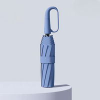 Windproof Rain Umbrella - Automatic Compact Travel Umbrella - Hook Handle