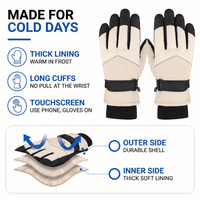 Ski Gloves - Men's Thick-Lined - Touchscreen