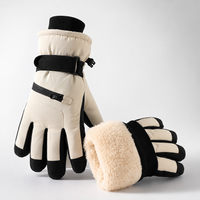 Ski Gloves - Waterproof - Touchscreen Compatible