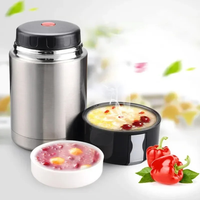 Food Thermos - Stainless Steel - with Utensils and Carry Bag