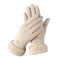 Women's Winter Gloves - Touchscreen - Plush Lined