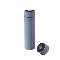 Smart Thermos Bottle - LED Temperature Display - 500ml Stainless Steel