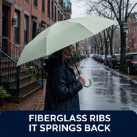 Windproof Rain Umbrella - Automatic Compact Travel Umbrella - Hook Handle